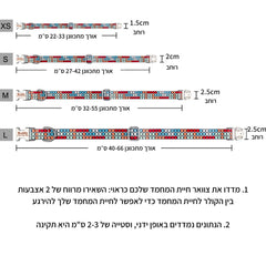 סט קולר ורצועה בהתאמה אישית